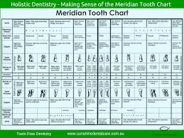 Meridian Tooth Chart Tooth Chart Remedies For Tooth Ache