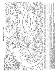 The best 39 madagascar printable coloring pages. Animal Coloring Page Madagascar Print Size Jack The Lizared Wonder World