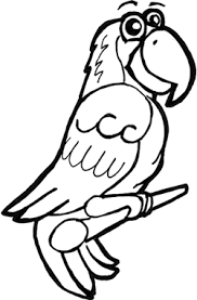How To Draw Cartoon Parrots Macaws With Step By Step Drawing Lesson How To Draw Step By Step Drawing Tutorials Step By Step Drawing Parrot Drawing Cartoon Drawings 2305x3475 macaw parrot exceptionally colourful, the red feathersre. how to draw cartoon parrots macaws