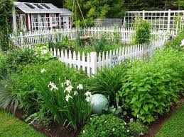 Flower seeds on sale today. 21 Perennial Vegetables You Can Plant Once For Years Of Bounty