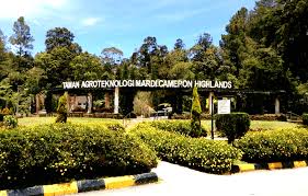 Info about visiting hours, entrance fees and maps. Penginapan Bajet Cameron Highlands By Agro Highlands Facebook