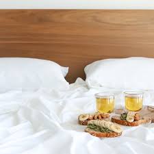 كل ما تحتاج لمعرفته حول التحول إلى أوراق الخيزران