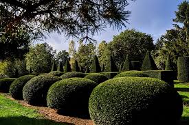 Unterwegs Mit Unseren Kunden Auf Eichlers Pflanzensafari Ein Echtes Erlebnis Fur Jeden Gartenliebhaber Sie Wollen Ihren Garten Garten Ideen Garten Pflanzen