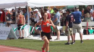 Division III state track: Minster, Coldwater runners win state championships