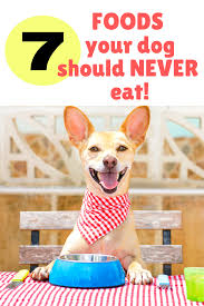 Can Dogs Eat Rice Human Foods Dogs Can And Can T Eat In 2020 Foods Dogs Can Eat Human Food For Dogs Can Dogs Eat