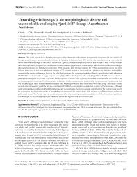 Image result for Anisotes formosissimus