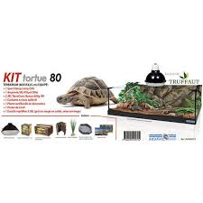 Tortue, du chien et des mandarins. Kit Pour Tortue Terrestre Terrarium L80x35xh25cm Equipe Truffaut