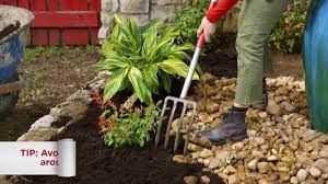 If the concept of mulching is new to you in general, be sure to stop by our mulch 101 article. 10 How To Mulch A Flower Bed Youtube