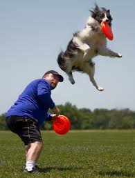 Athletic dogs rise to challenge of first-ever Land of Oz Kansas State Disc  Dog Championship