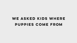 @humaneworldorg's video Tweet