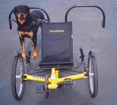The Dog Powered Recumbent Trike Image 3 Of 5 Biking With Dog Dog Trailer Recumbent Bicycle