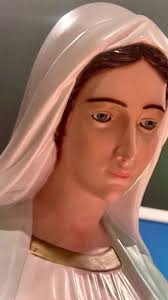 🙏✨LIVE: #PREGHIERE DELLA SERA🙏 〽️PREGHIERE DELLE #FAMIGLIE IN DIRETTA  TELEFONICA ALLO 031 610610🙏