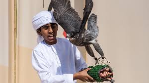 A falconer is someone who trains and uses falcons for hunting. Uae Falconry Contest Sets Record For Number Of Young Falconers