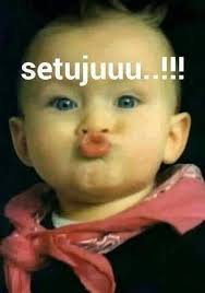  Pin Oleh Hasan Elektro Di Bayi Gifs Lucu Meme Lucu Foto Lucu