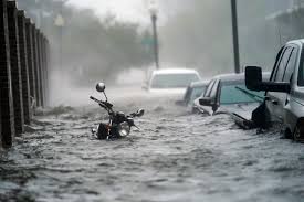 Join the fight in 'tropic storm'! Tropical Storm Sally Formed Over Land In Florida New Report Says