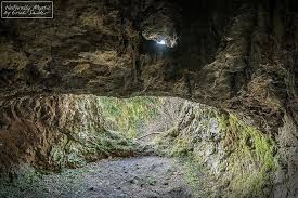 Hohle An Grosser Hermannstein Ilmenau Thuringer Wald Germany Tree San Photo