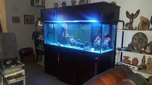 Please measure your tank opening to the closest millimeter before purchasing! Texas 180 Gallon Reef Ready Tank W Stand Canopy Equipment Reef2reef Saltwater And Reef Aquarium Forum