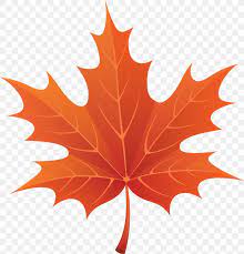 Fall Leaves Fall Autumn Leaf Color Png 3392x3519px Autumn Leaf Color Autumn Blog Drawing Flowering Plant 300x317 drawing from life with expressive line carol's drawing blog.