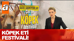Kopek Eti Festivali Kahvalti Haberleri Youtube