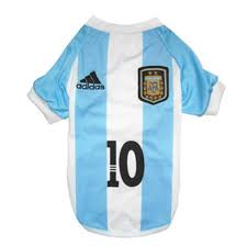 Bandera argentina editando india, argentina banner, azul, bandera, bandera de la india png. Camiseta Seleccion Argentina Almacen Para Mascotas