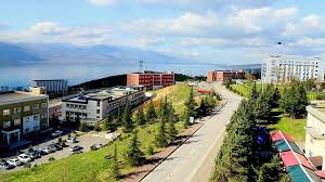 Sakarya üniversitesi / tıp fakültesi / tıp fakültesi için özel koşullar aşağıda belirtilmiştir. Bolumler Sakarya Universitesi Tercih Robotu