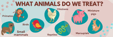 Maybe you would like to learn more about one of these? Exotic Pet Care Clermont Animal Hospital