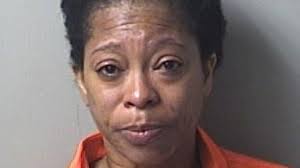 Woman arrested for leaving animals in hot car