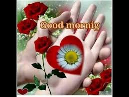 A large collection of good morning messages for friends, it is usually always used a greeting, but you can certainly light up your friend's day with a good morning. Good Morning My Friend With Flowers Hutomo Sungkar