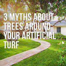 Tree root decomposability and the role of roots for organic matter formation and because fine roots turn over, they provide carbon and nutrients to the soil and, thus water loss can be limited by stomatal closure and over the longer term by restricting. Myths About Trees Around Your Artificial Turf
