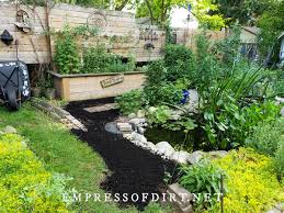 Check spelling or type a new query. How To Replace Lawn With Wildflower Seed Mix Empress Of Dirt