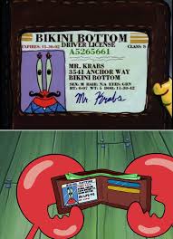 Our kids are not safe.. In The Spongebob Episode Sleepy Times Produced Mid 1999 Krab S License Says That He Was Born November 1942 Making Him 56 Years Old 17 Years Later In The Episode Mall Girl Pearl