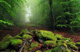 50 Mind Blowing Examples Of Landscape Photography Beautiful Landscape Photography Landscape Photography Nature Photography