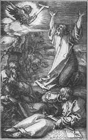 Dürer, bleigriffel auf grüner grundierung. Heinrich Wolfflin Die Kunst Albrecht Durers