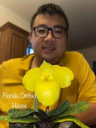 Conophytum blandum ARM514 and ARM 985 both in flower yesterday. Just love  this species and its forms. They reward with large flowers ranging from  white to deep pink. Nothing bland about blandum