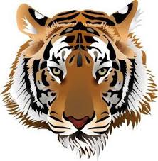 You can use all these tiger images for free. Free Tiger Clipart In Ai Svg Eps Or Psd
