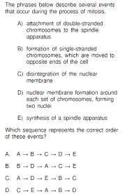 Ual reproduction and meiosis ppt video online from section 11 4 meiosis worksheet answers. Https Www Hudson K12 Oh Us Cms Lib08 Oh01914911 Centricity Domain 1257 Chapte 208practicetestans Pdf