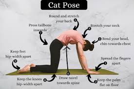 They somehow both seem so much more absurd when they hang out together. Benefits Of Cat Cow Pose Benefits Of Cat Cow Yoga Poses During Pregnancy Oh Baby Fitness Protect Your Neck By Broadening Across Your Shoulder Blades And Drawing Your Shoulders Down