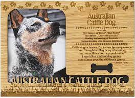 Australian cattle dog breeders in australia and new zealand. Australian Cattle Dog Engraved Wood Picture Frame Magnet Walmart Com Walmart Com