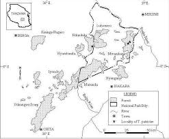 Image result for Bromuniola gossweileri