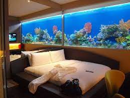Wall Aquarium Philippines How Much Google Search Large Fish Tank Ideas Living Rooms Fish Home Home Aquarium