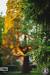 Picsart Hd Background Png
