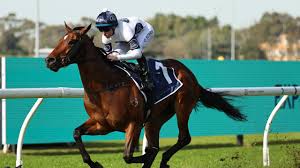 Ariel kytsya erome we tried out some positions and I felt