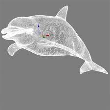 Dolphin Model 3d Model Ad Dolphin Model Model Dolphins Aesthetic Template 3d Model