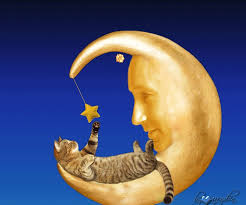 dreamies.de (rupgf74bjv9.gif)