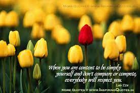 Lao Tzu Quotes Live Motivational Quotes Inspirational Sayings Tulips Blooming Flowers Yellow Tulips