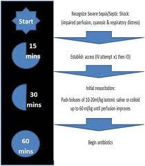 frontiers poor compliance with sepsis guidelines in a