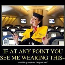 Follow Me If You Want To Live Flight Attendant Humor Flight Attendant Life Aviation Humor