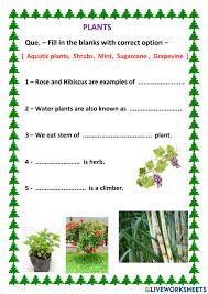 Count by 2 from 4 to 20 premade worksheet. Plants Online Exercise For Grade 3