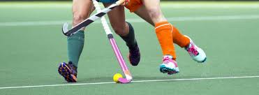 National hockey league american hockey league canadian hockey league. Top Universities For Hockey Targetcareers