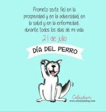 ¿cuál es el motivo de la celebración del día mundial del perro? Las Mejores 32 Ideas De Dia Mundial Del Perro En 2021 Mascotas Frases Dia Mundial Del Perro Amor De Perro